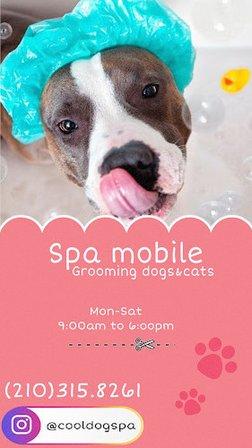 Cool Dog Spa Mobile Pet Grooming