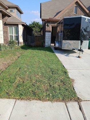 The Grass Dealers
