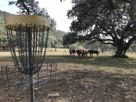 The Zip Disc Golf Course