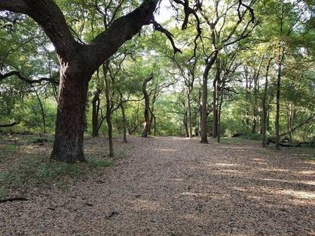Universal City Disc Golf Course
