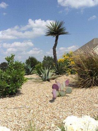 TexZen Landscapes