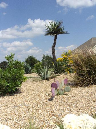 TexZen Landscapes