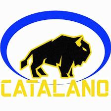Catalano Enterprises