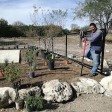 Sergio lawn and tree services landscaping