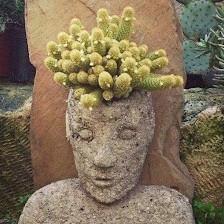 Palm Buddha