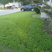 Ramirez Lawn Technician