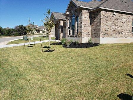 Alamo Mowing & Tree Care