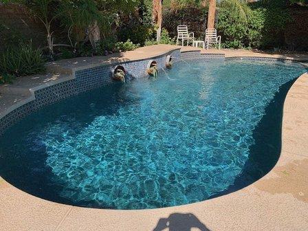 MLJ Pool Services LLC
