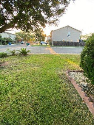 Randolph's Lawn and Landscape Management
