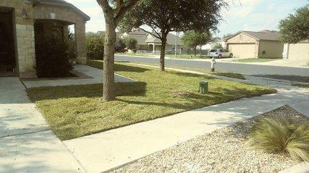 JC Lawn Sod installation