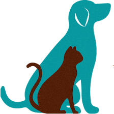 Cibolo Small Animal Hospital