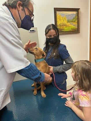 Kitty Hawk Animal Hospital