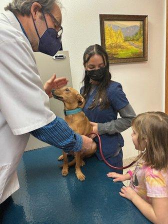 Kitty Hawk Animal Hospital
