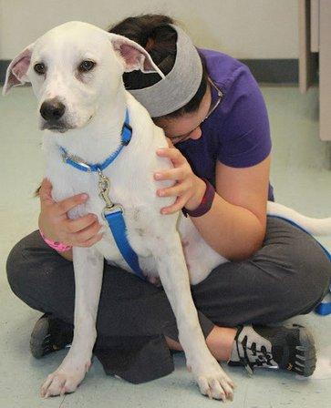 County Line Veterinary Clinic