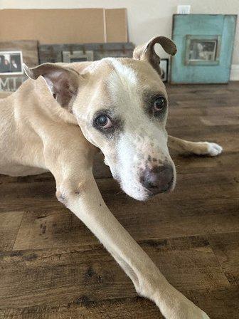 i35 MarketPlace Animal Hospital