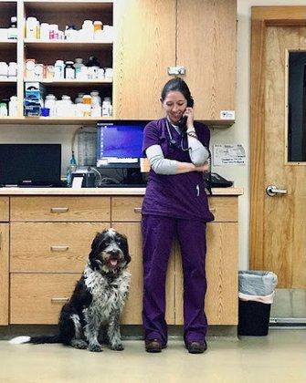 Schertz Animal Hospital