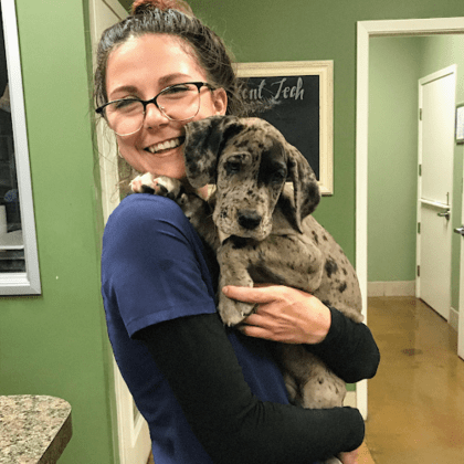 Friendship Pet Hospital