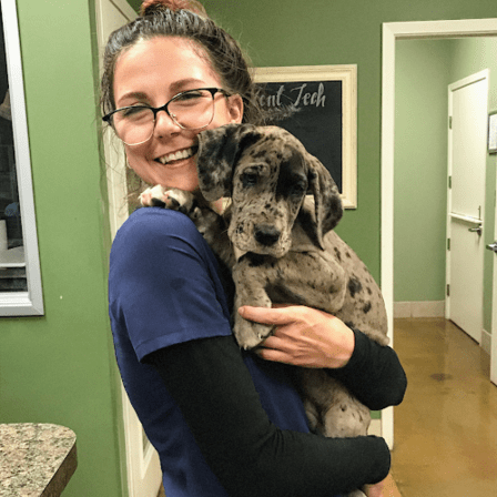 Friendship Pet Hospital