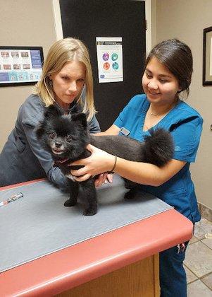 A Pet's Choice Veterinary Care, A Thrive Pet Healthcare Partner