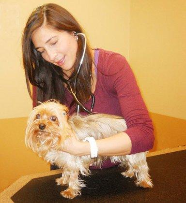 Eagle Veterinary Hospital