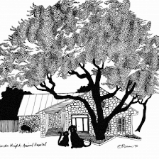 Lincoln Heights Animal Hospital
