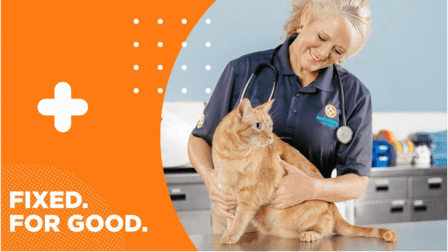 Spay Neuter Network