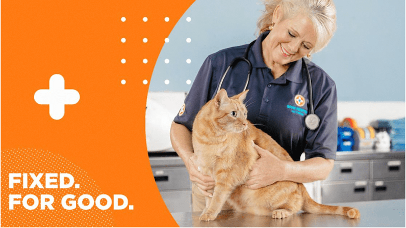 Spay Neuter Network