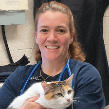All Creatures Great & Small Veterinary Hospital