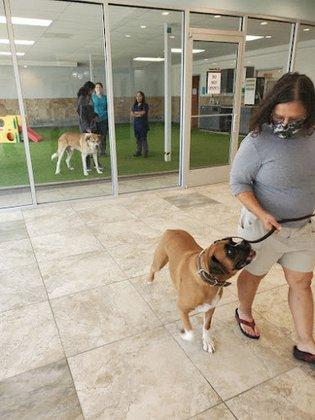 North Star Animal Hospital