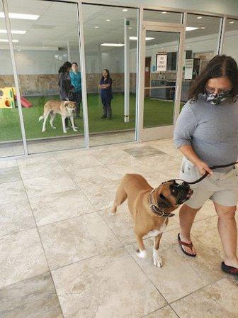 North Star Animal Hospital