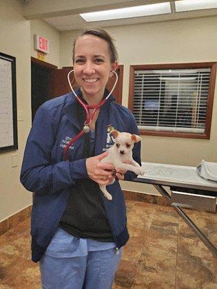 Acorn Hill Animal Hospital