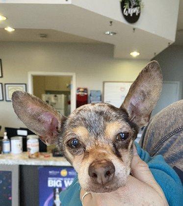 St. Francis Veterinary Hospital