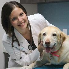 Dominion Crossing Veterinary Hospital