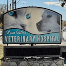 Leon Valley Veterinary Hospital