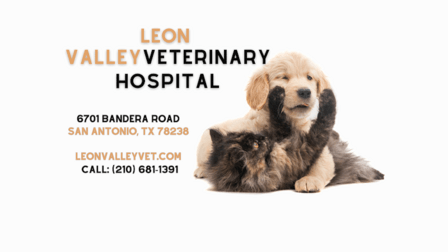 Leon Valley Veterinary Hospital