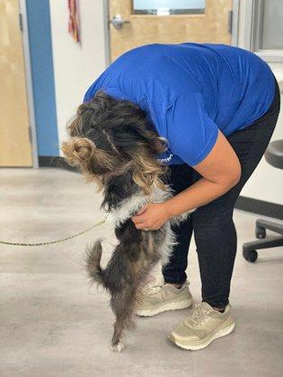 CityVet | Alamo Heights Veterinary Clinic & Urgent Care