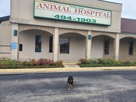 Towne North Animal Hospital