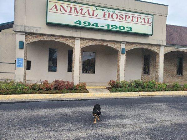Towne North Animal Hospital