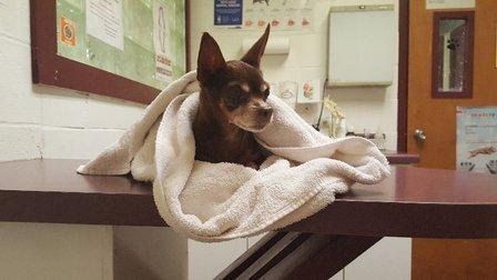 Pleasanton Road Animal Hospital