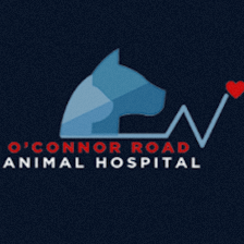 O'Connor Road Animal Hospital