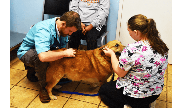 O'Connor Road Animal Hospital