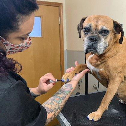 Huebner Oaks Veterinary Hospital