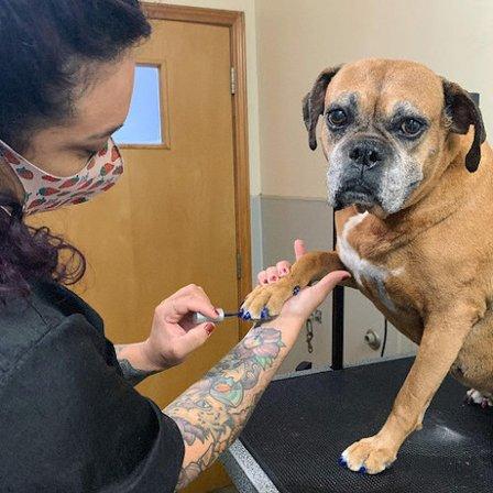 Huebner Oaks Veterinary Hospital