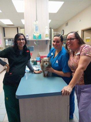 Babcock Hills Veterinary Hospital