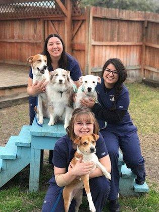 Family Pet Hospital of Stone Oak