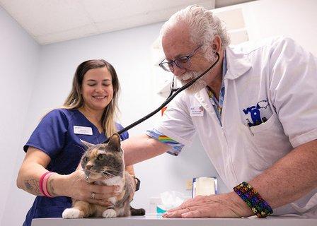 VCA Health Associates Animal Hospital