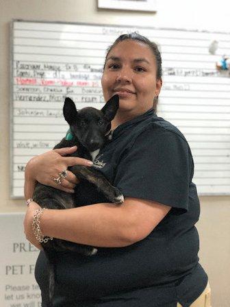 Northern Oaks Bird & Animal Hospital