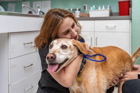 AmeriVet Veterinary Partners