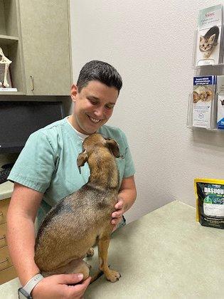 Traveling Tails Veterinary Clinic | Thousand Oaks