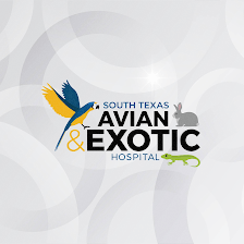 South Texas Avian & Exotic Hospital
